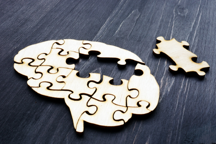 A wooden brain puzzle with pieces off to the side